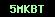 cod securitate